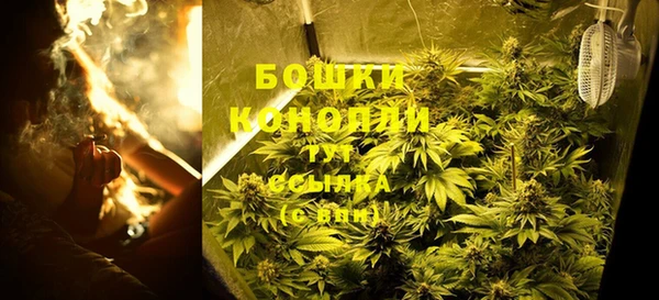 соль ск Кулебаки