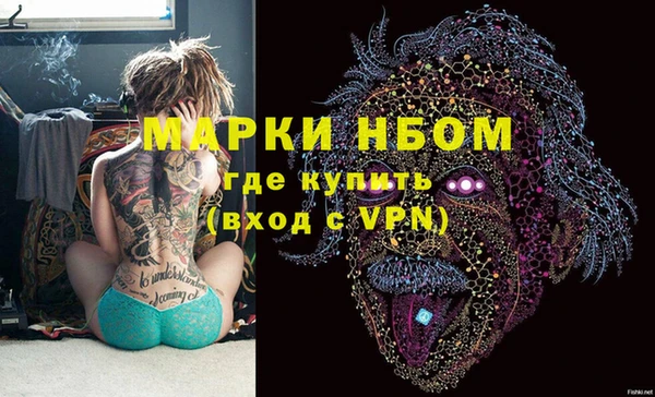 соль ск Кулебаки