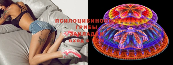 PSILOCYBIN Кукмор