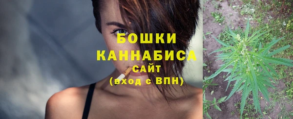 соль ск Кулебаки